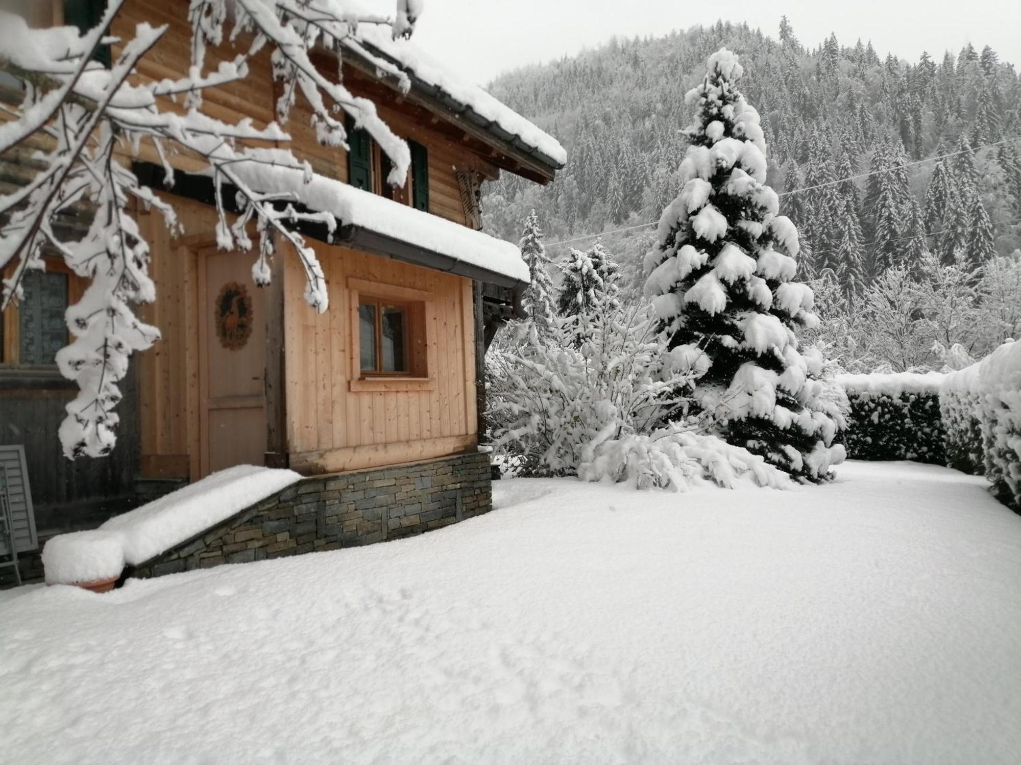 Le Vieux *